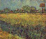 View of Arles with Irises in the Foreground by Vincent van Gogh